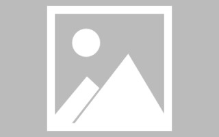 长岭网页设计英文默认字体（网页设置英文转换中文）